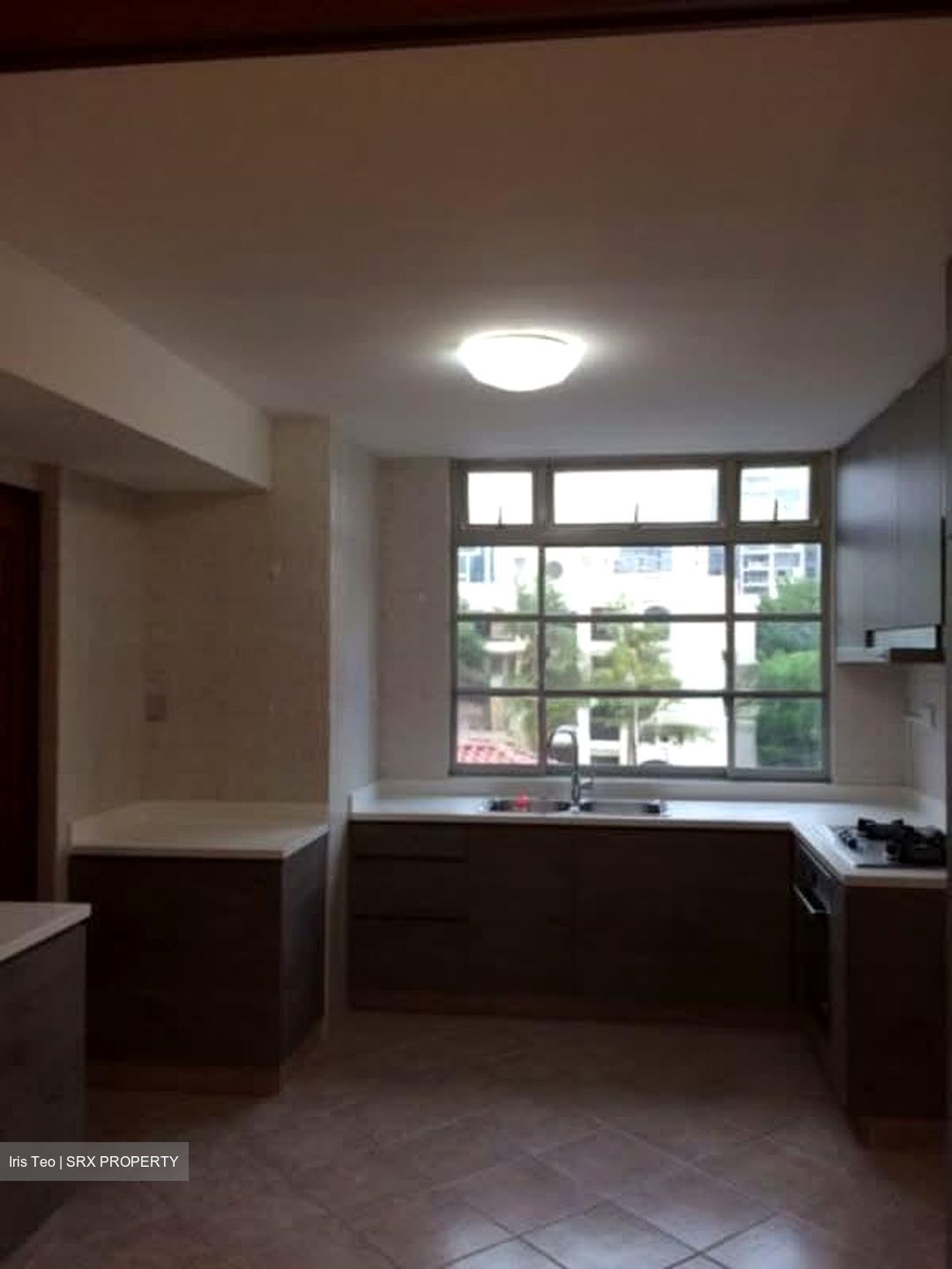 Pinetree Condominium (D10), Condominium #529854211